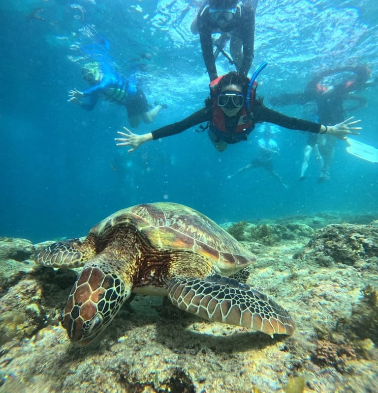 a person in a wetsuit is swimming in the ocean