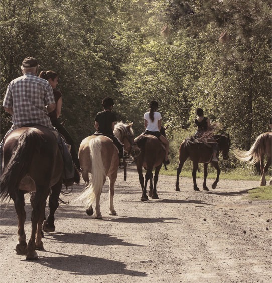 Chevaux et cavaliers revenant sur un sentier à Lachute, près de Montréal