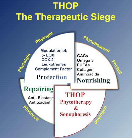 THOP L'assedio Terapeutico