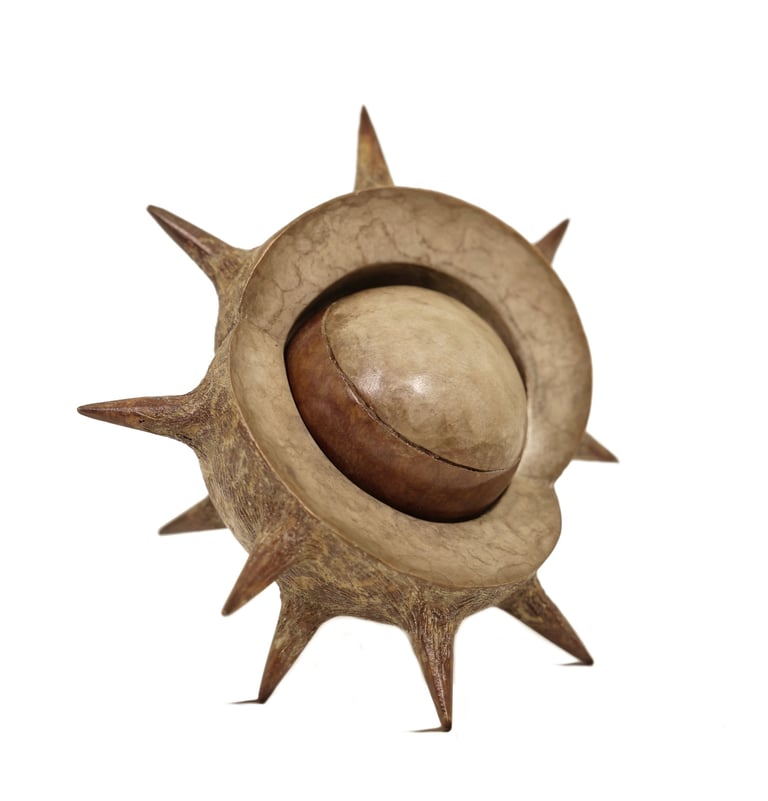 Bronze Sculpture Horse Chestnut Conker By Mark Richard Hall Sculptor