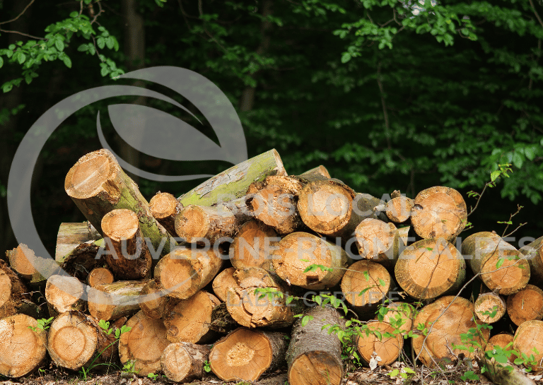 tas de stère de bois