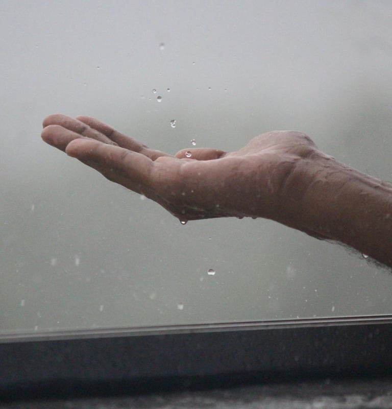 Het stappenplan morele Kring - voelen en erkennen