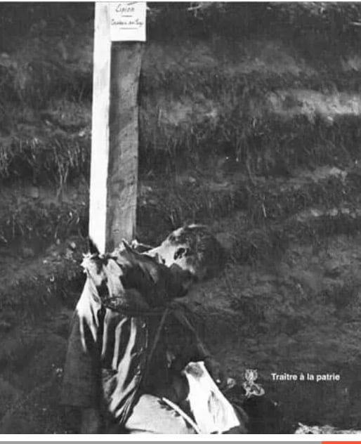 Traître à la patrie