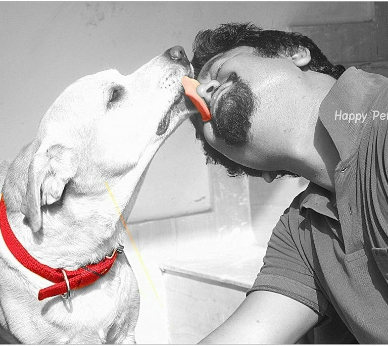 Dog Boarding, Dog Boarding near me, Pet Boarding, Pet Boarding near me, Dog Care, Happy Pettings