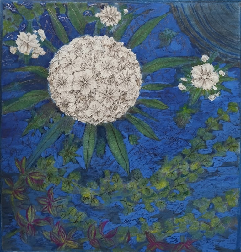 Clustering flowers that also look like the moon and stars