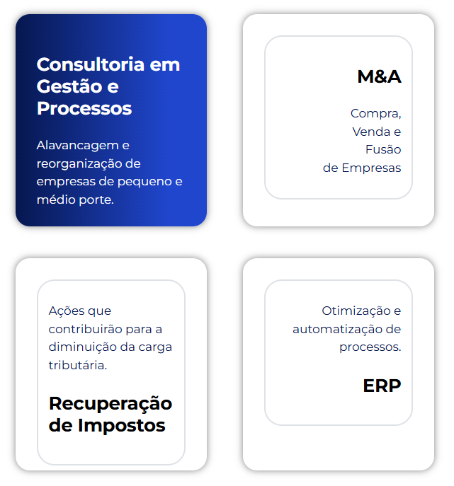Consultoria em Gestão de processos, Alavancagem e reorganização de empresas de PME, M&A, ERP