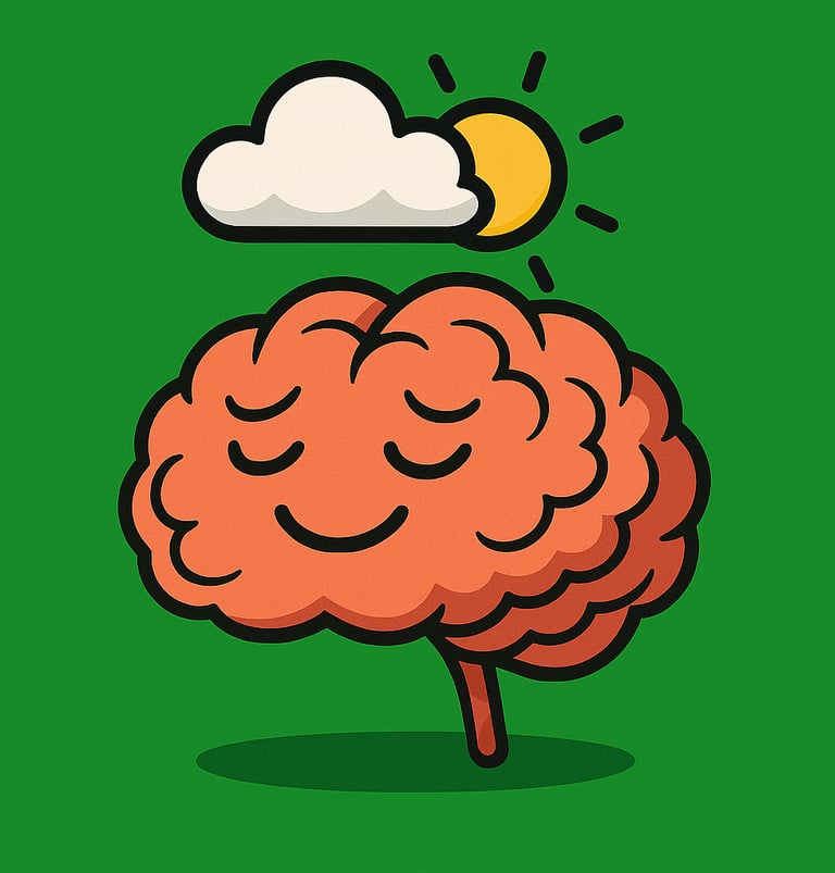 Sunny Brain Buddy Green Zone ADHD Capacity