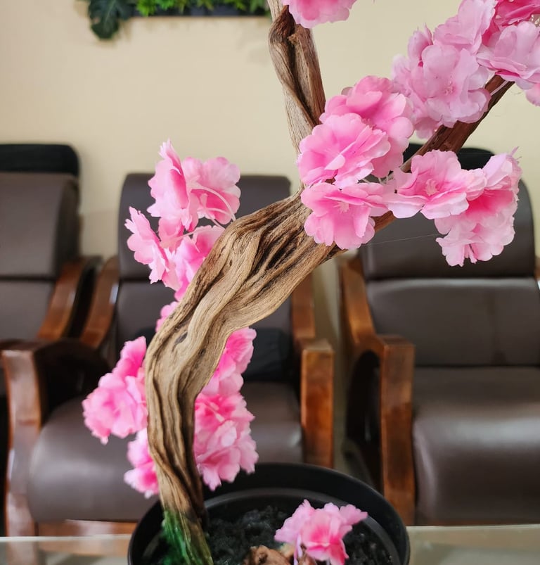 bonsai cerezo en una sala decorativa. jpeg