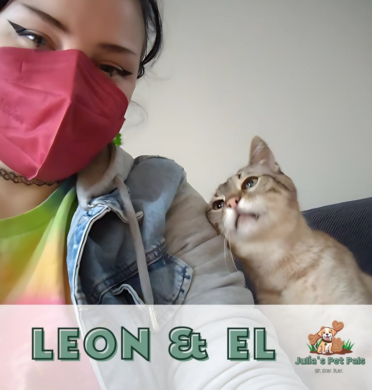Julia's Pet Pal El with tabby cat leon during a pet sit in Massachusetts