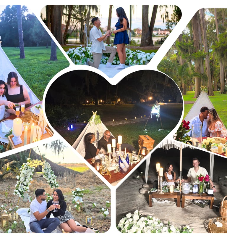 Surprise park picnic engagement in Orlando with custom decor and photographer