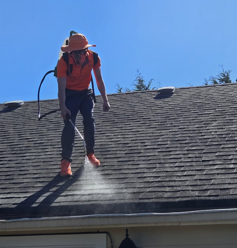 Second Chance Roofs Roof Restoration Service