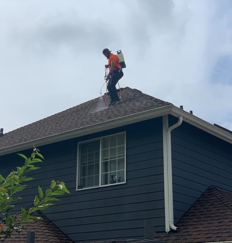 Roof Restoration Service In Federal Way, WA