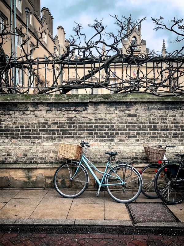 tour a Cambridge di 1 giorno