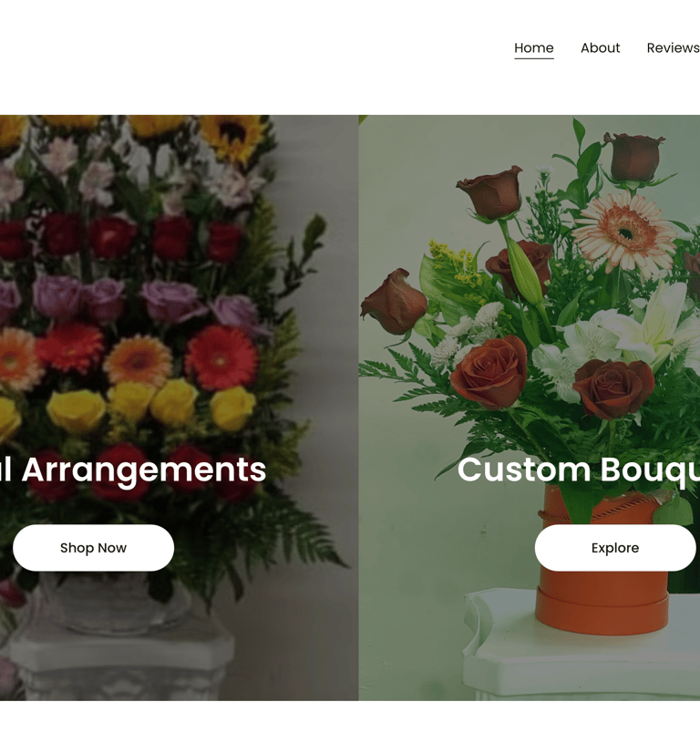 Website Sample