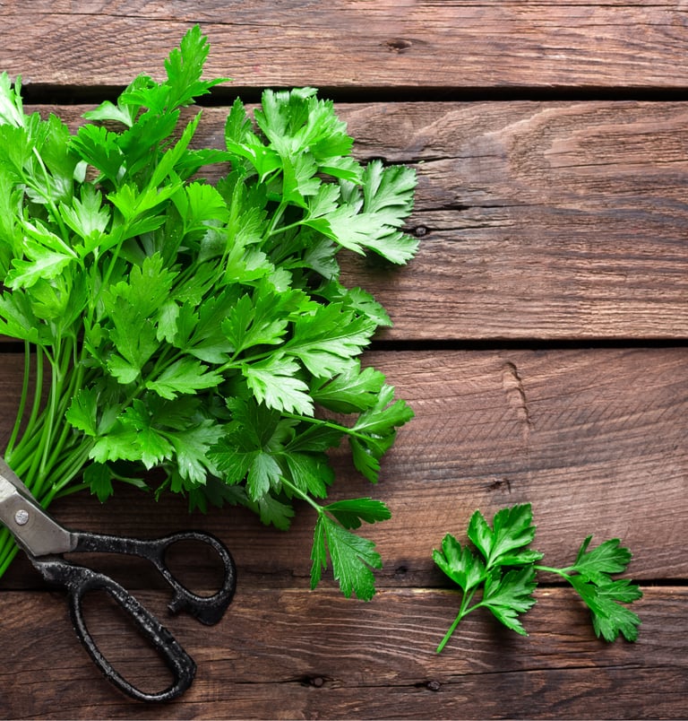 PARSLEY