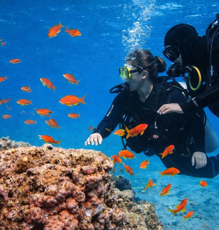 Scuba divers exploring a vibrant coral reef surrounded by schools of orange tropical fish.
