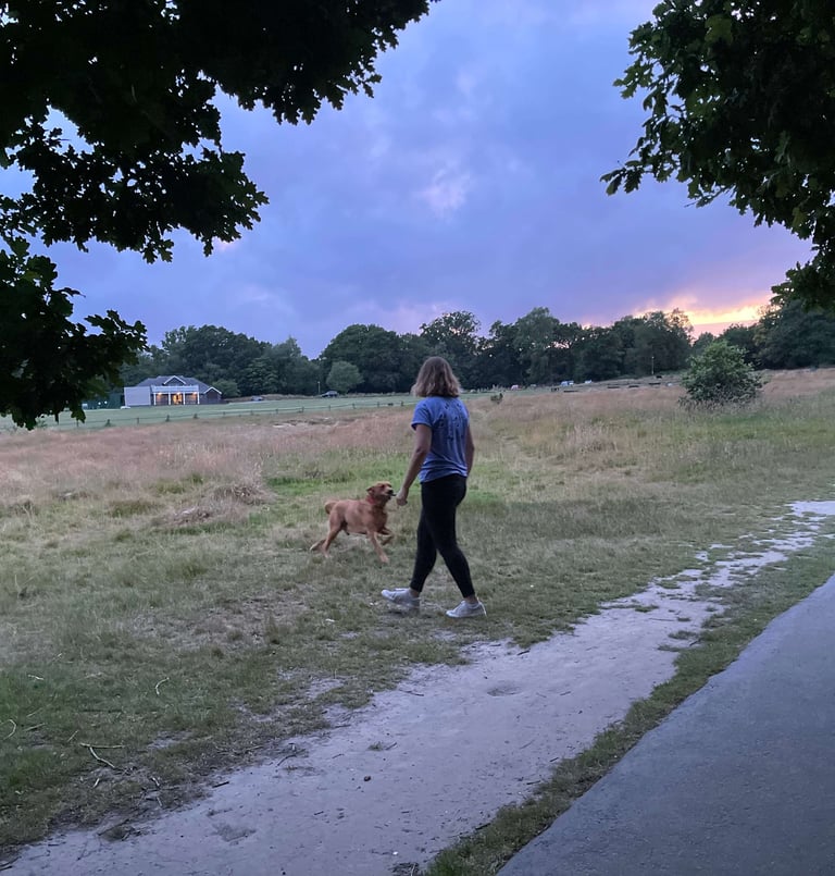 a woman walking a dog on a path
