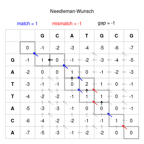 Representation of the Needleman Wunsch Algorithm