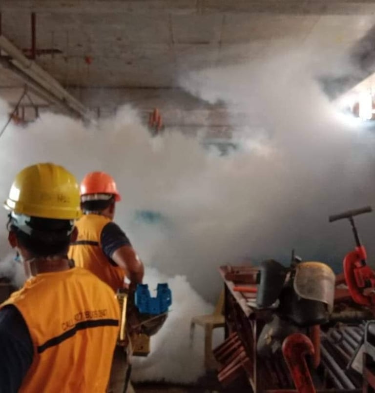 fogging for mosquitos