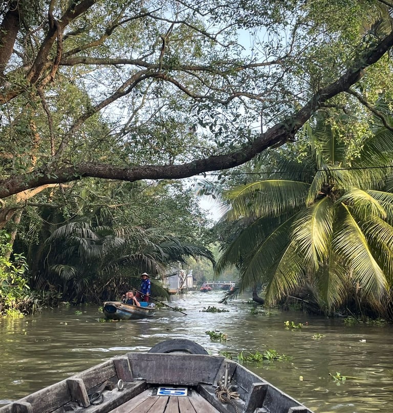 wietnam delta mekongu