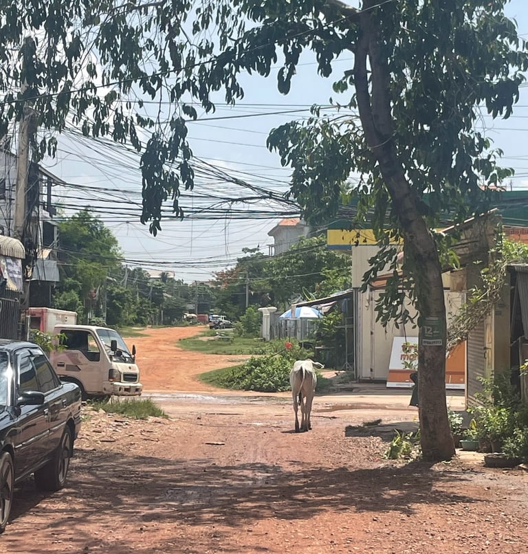 kambodża siem reap