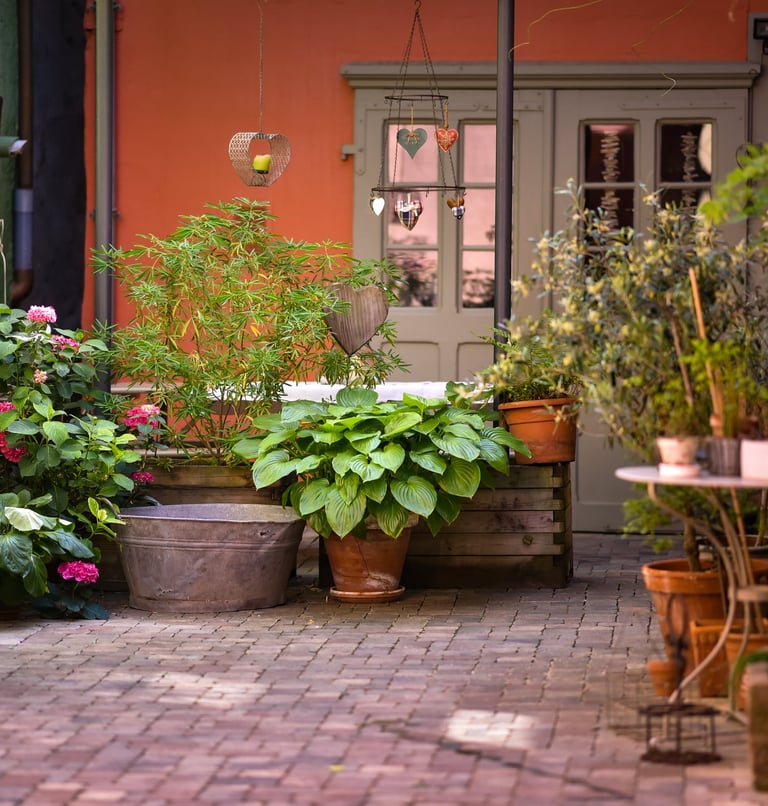 Jardin gite ribeauvillé alsace