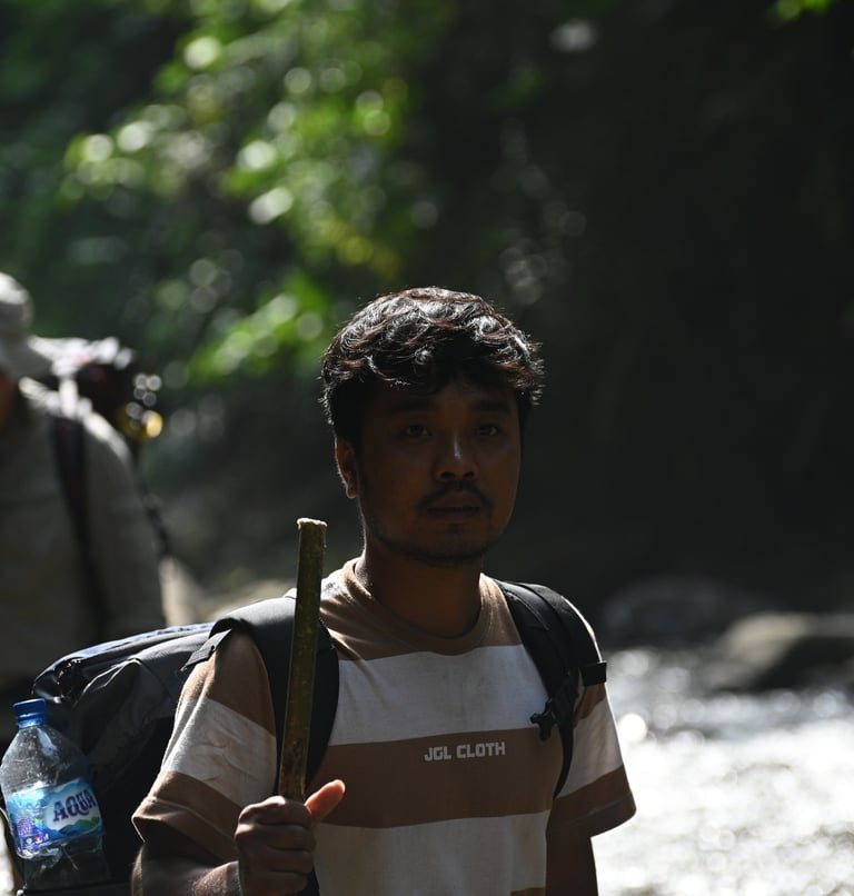 About Us Sumatra Orangutans
