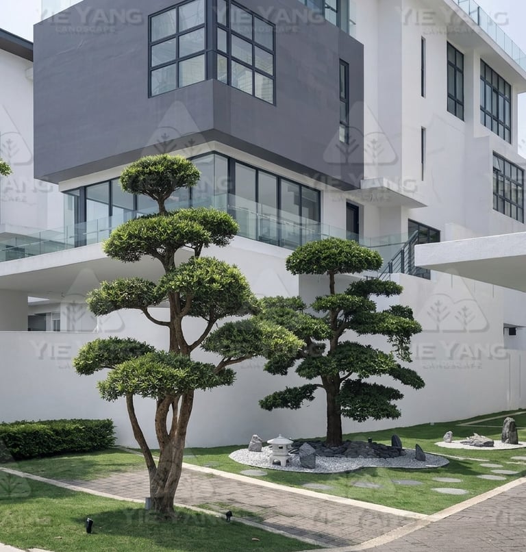 Modern residential landscape design with sculpted garden trees and zen garden by Yie Yang Landscape