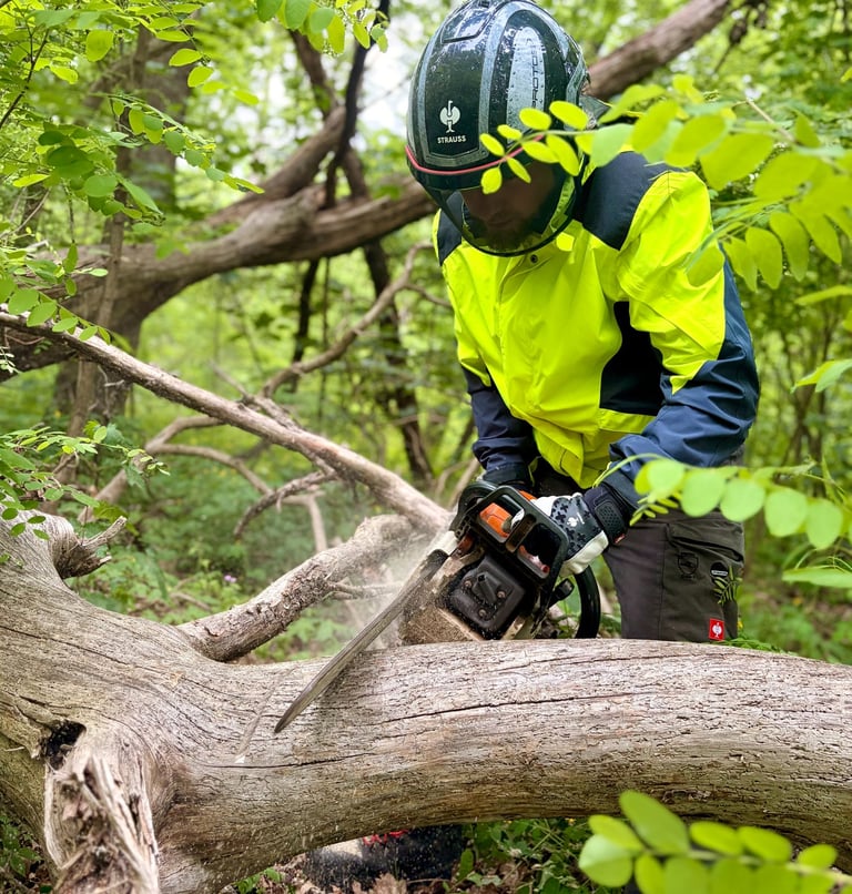 A worker in high-visibility safety gear uses a chainsaw to cut a fallen tree in the woods.