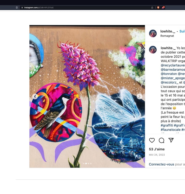 une fresque de fleur rose