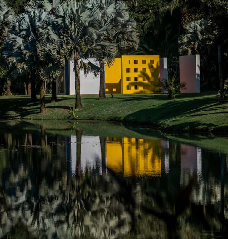 Jardim botânico de Inhotim: Uma vista panorâmica de espécies raras e uma escultura única em meio à n