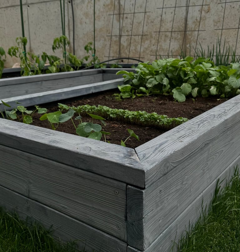 Ūkvedžio paslauga, ūkvedys, aplinkos priežiūra, gerbūvio įrengimas, terasos įrengimas, laistymas