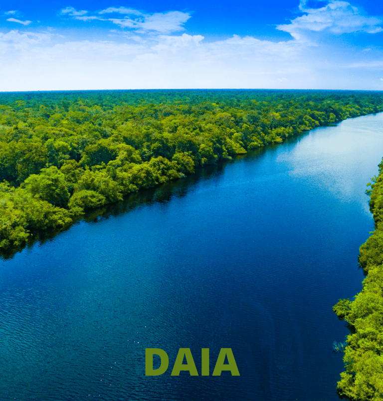daia - licenciamento para área de app