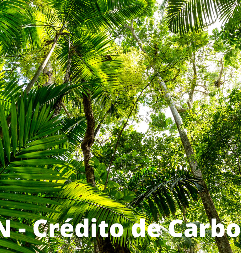 pin - crédito de carbono
