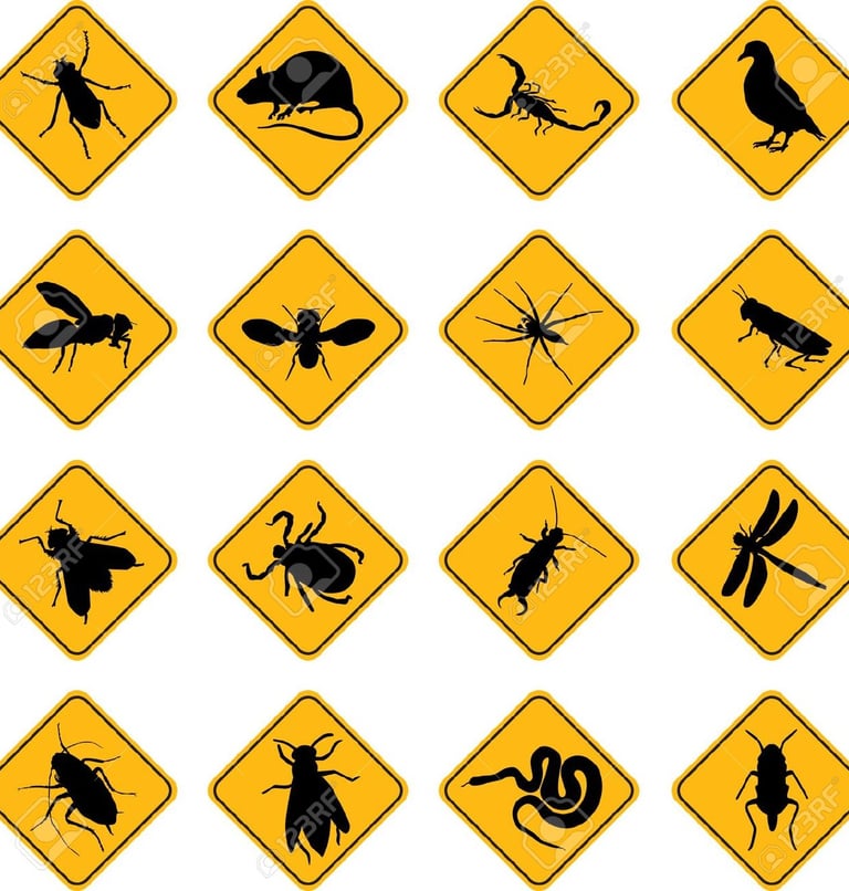 General pest control Ahmedabad