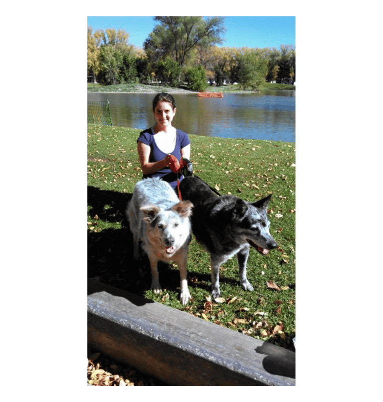 Bailey adoption day!