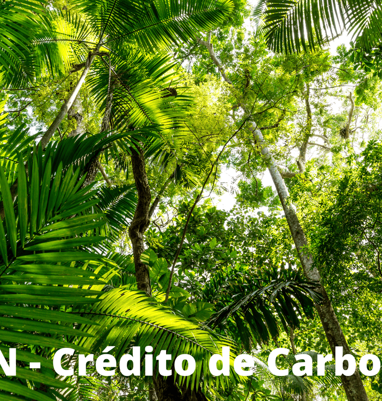 pin - crédito de carbono