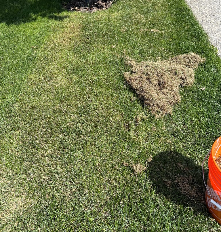 MacLawns Lawn Dethatching in South Calgary
