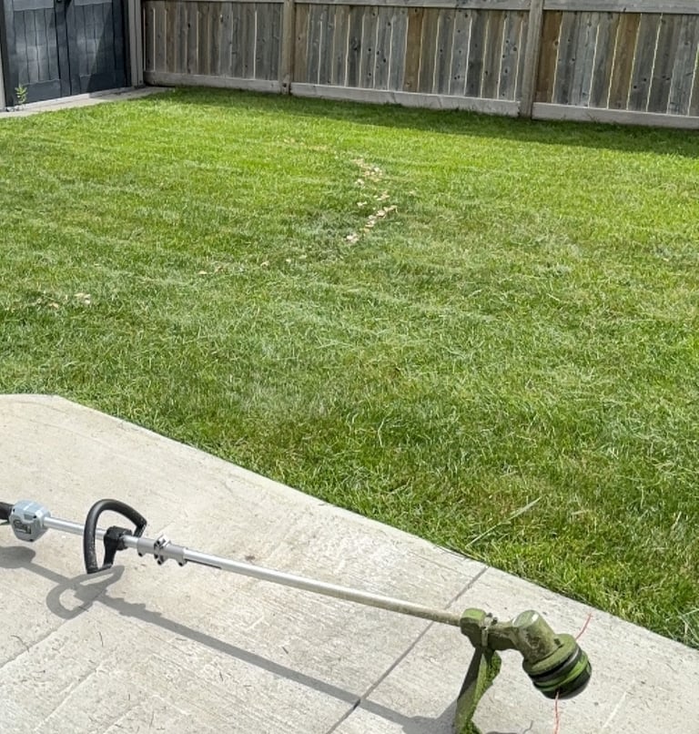 MacLawns Freshly Mowed Lawn in New Brighton Calgary