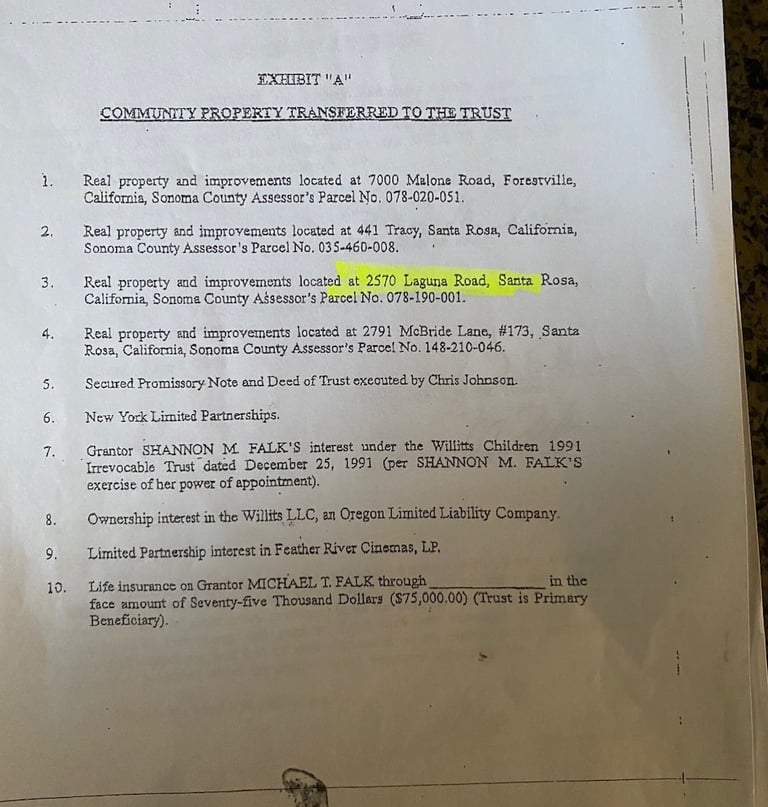 When Shannon Falk Goes to the F.B.I. Bill Willitts commits fraud