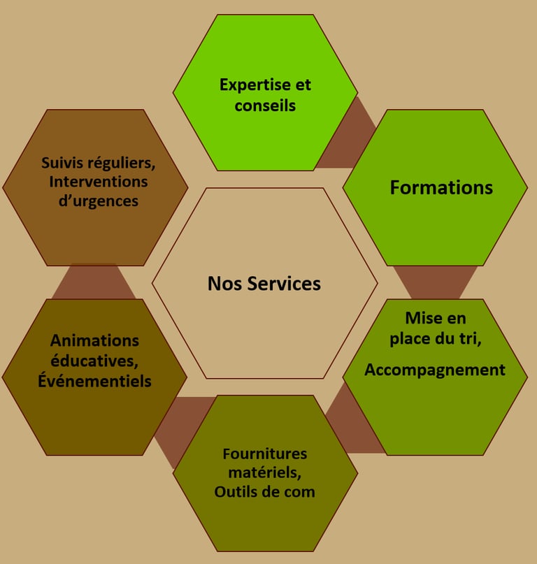 Nos services pour la mise en place de compostage autonome en établissement