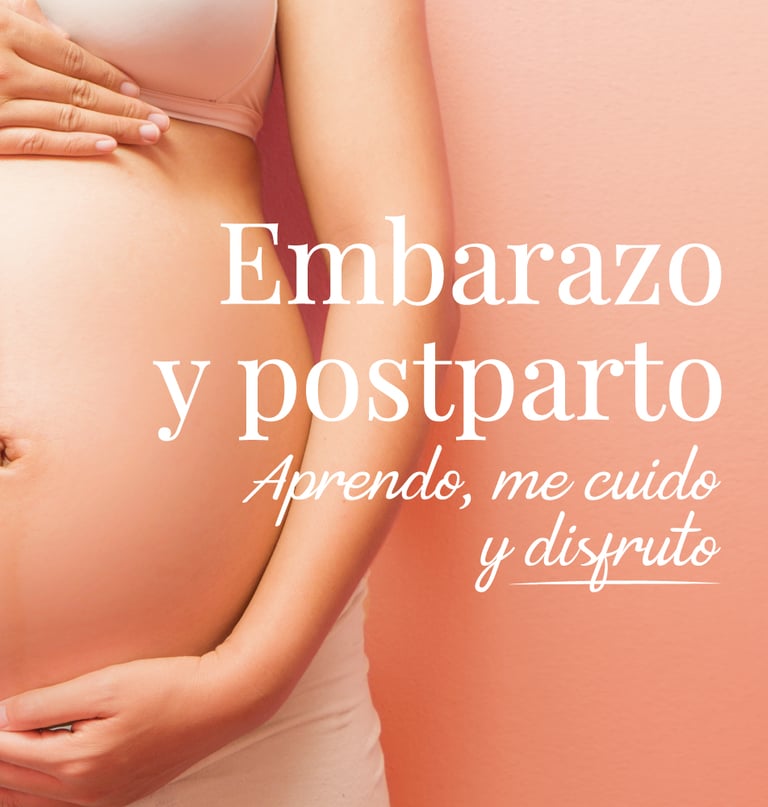 Aprendeblog Embarazo y Postparto