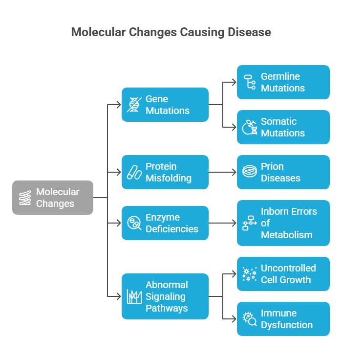 molecular changes causing diseases