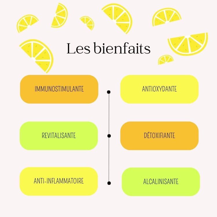 illustration des bienfaits de la boisson citron gingembre