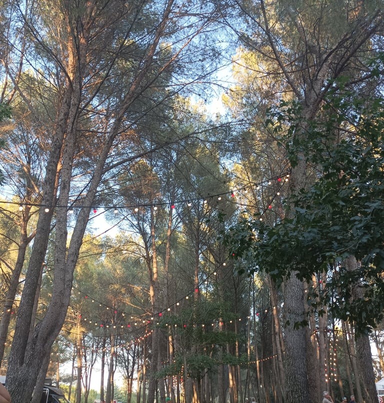 Chateau d' Ô park