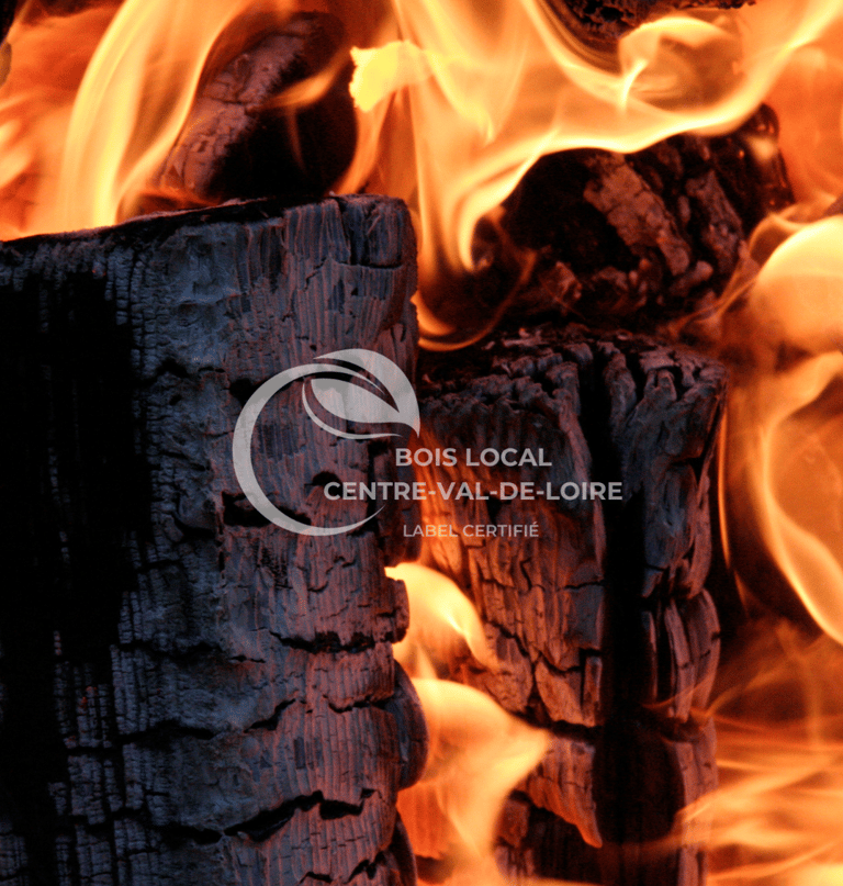 bûches en feu
