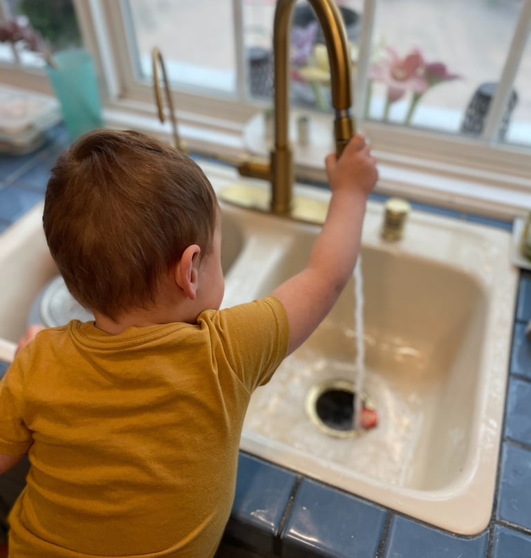 little boy at sink using sprayer to put strawberry down garbage disposal