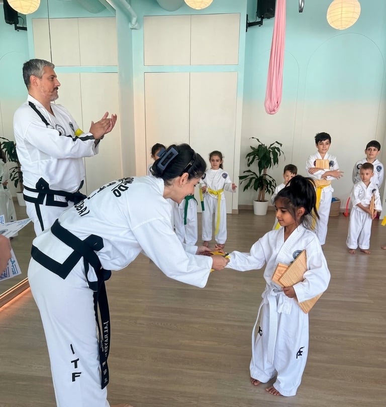 Hwa Rang board presentations
