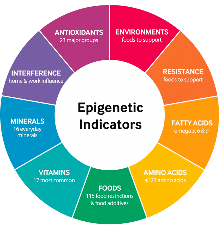 Epigenetic indicators chart showing nutrition, minerals, vitamins, fatty acids, amino acids, foods, 