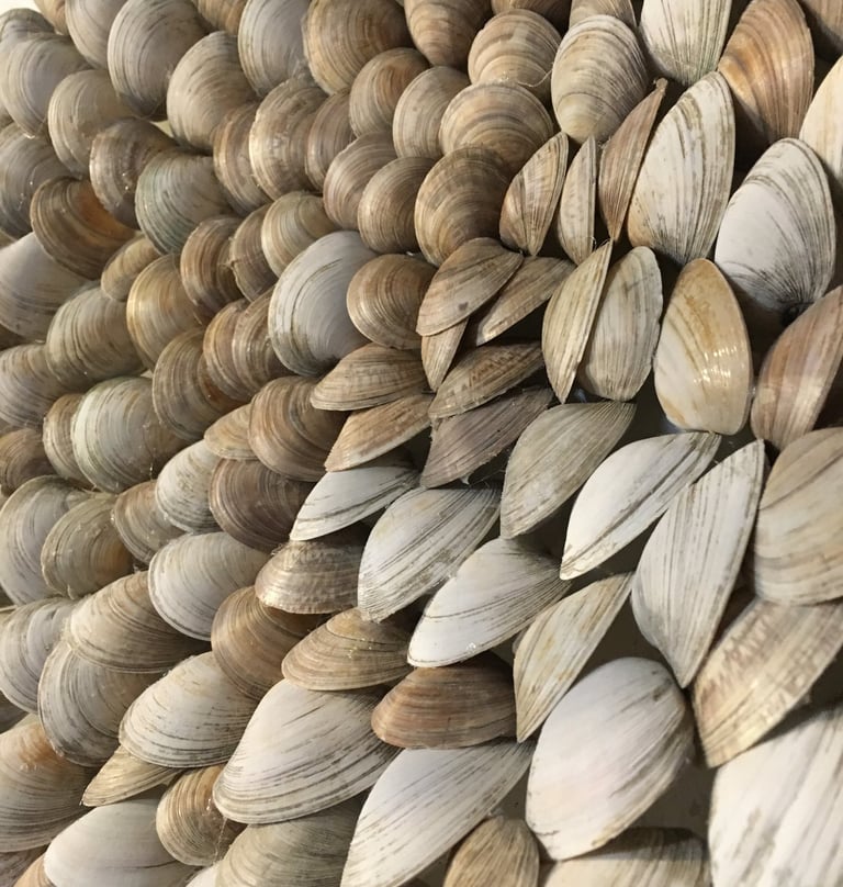 detail of a clam shell mandala art piece
